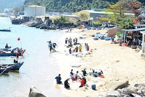 Xuân trên 'vùng biển tàu không số'