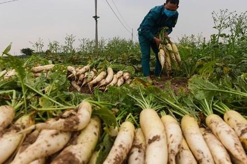 Thoát vòng luẩn quẩn 'giải cứu'