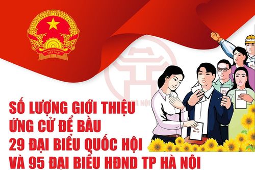 Số lượng người giới thiệu ứng cử để bầu 29 đại biểu Quốc hội và 95 đại biểu HĐND TP Hà Nội