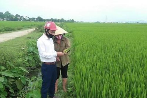 Xóm trưởng kiêm bí thư chi bộ gương mẫu, trách nhiệm