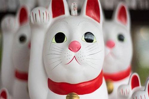 Ký sinh trùng này có thể khiến thần kinh con người bị rối loạn hoàn toàn