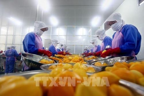 Việt Nam lần đầu lọt nhóm có Chỉ số Tự do kinh tế trung bình