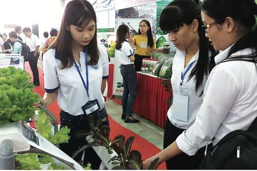 Tạo ra Hệ sinh thái khởi nghiệp 'đầy sức sống' bằng cách nào?