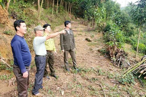 Định Hóa đẩy nhanh tiến độ rà soát, quy hoạch 3 loại rừng