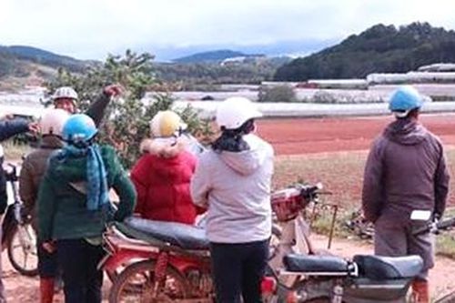 Nông dân khổ vì doanh nghiệp thuê đất không trả tiền