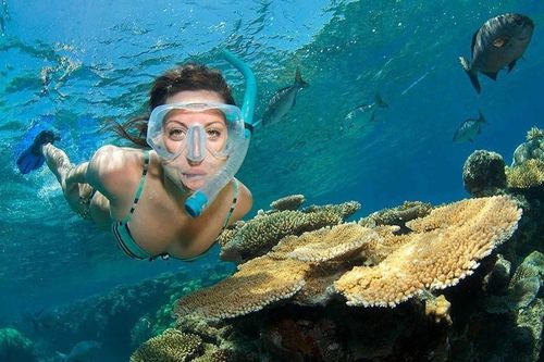 Australia tặng người dân phiếu giảm giá để đi du lịch
