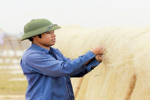 Bài 3: Chắt chiu tinh hoa làng nghề
