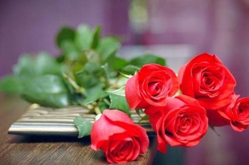 Lịch sử và ý nghĩa Ngày Quốc tế Phụ nữ 8/3