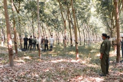 Bắt giữ 16 công dân Trung Quốc nhập cảnh trái phép vào Việt Nam