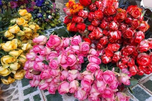 Thị trường 7/3: Hoa hồng tăng giá gấp 5, trà đá 'chui' hét 30 nghìn đồng/cốc