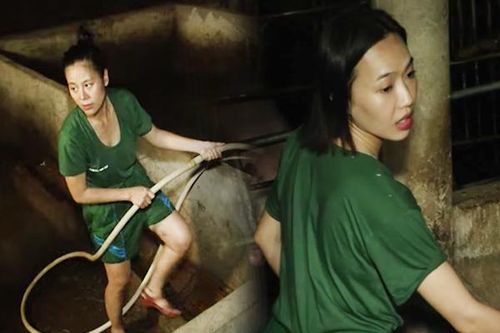 Diệu Nhi, Nam Thư bị phạt phải tắm cho heo tại 'Sao nhập ngũ'