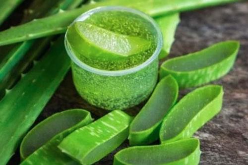 Nhiều người chỉ biết dùng nha đam làm đẹp mà không biết những đại kỵ này rất dễ rước họa