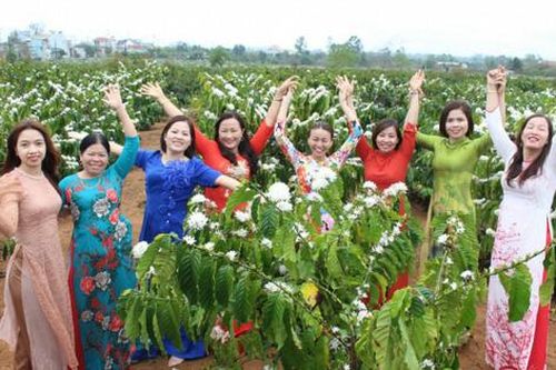 Phụ nữ Đắk Lắk lan tỏa vẻ đẹp áo dài