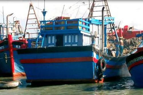 Ngư dân trúng lộc tôm đầu năm