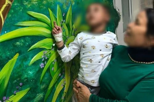 Cứu sống bệnh nhi bị chó cắn đa chấn thương vùng đầu, hở sọ não