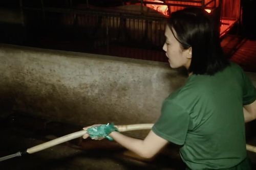 Nam Thư, Diệu Nhi bị phạt dọn chuồng heo