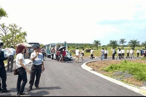 Sốt đất tại Việt Nam xuất hiện từ bao giờ?