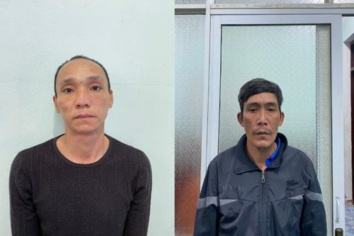 Bắt giữ nhóm đối tượng liên tiếp thực hiện các vụ trộm cắp cây cảnh có giá trị lớn