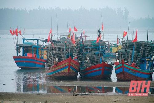 Phường Hải Ninh phát triển khai thác hải sản theo hướng bền vững