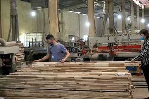 Để công nghiệp chế biến gỗ phát triển bền vững