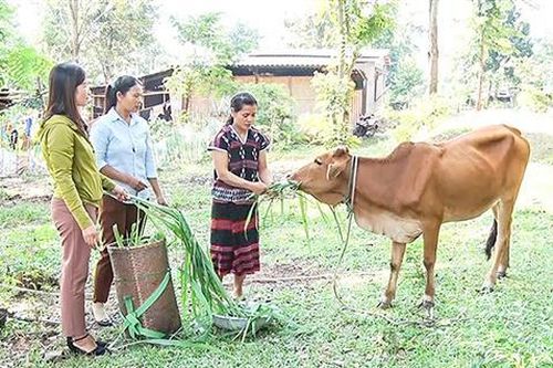 'Đồng hành cùng phụ nữ biên cương', chương trình mang nhiều ý nghĩa
