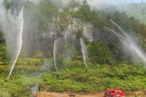 Chủ động phòng cháy và chữa cháy rừng trong mùa khô