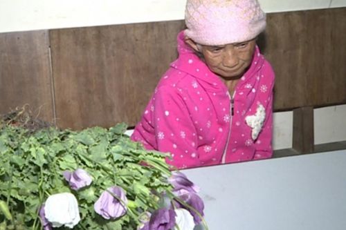 Bắt bà cụ 86 tuổi trồng 200 cây thuốc phiện tại Sơn La