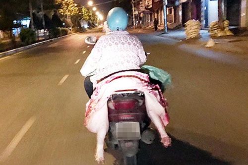 Xử lý nghiêm việc vận chuyển, buôn bán, giết mổ lợn nghi mắc bệnh, lợn bệnh, lợn chết