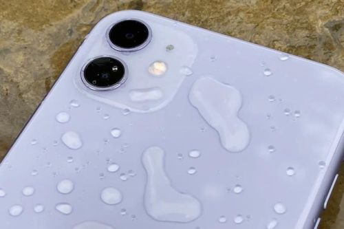iPhone 11 vẫn hoạt động sau 6 tháng ngâm dưới hồ nước lạnh
