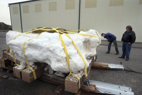 Tảng đá khổng lồ 'khóa chặt' xương hàng chục con khủng long bên trong