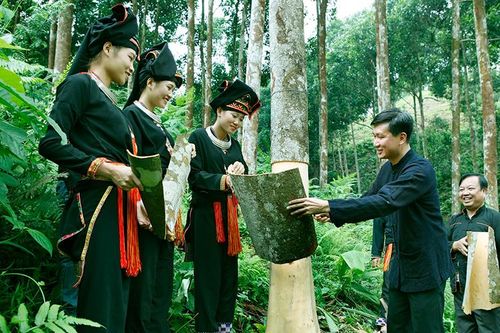 Chuyển đổi canh tác, tạo sức bật cho nông thôn mới