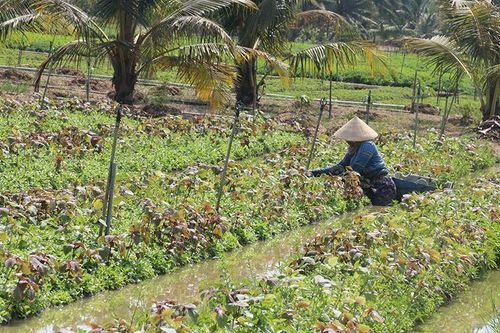 Diễn biến thời tiết nguy hiểm khu vực bắc Biển Ðông