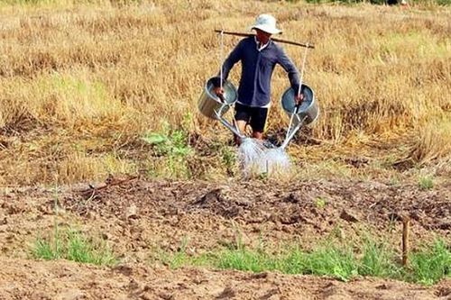 Cơ chế hỗ trợ ngân sách khắc phục hậu quả hạn hán, xâm nhập mặn