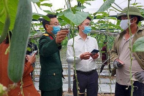 Đưa nông sản lên sàn, thoát cảnh nhếch nhác chờ 'giải cứu' ở vỉa hè