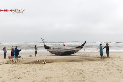Những chuyến ra khơi nặng trĩu cá trích của ngư dân Thừa Thiên Huế