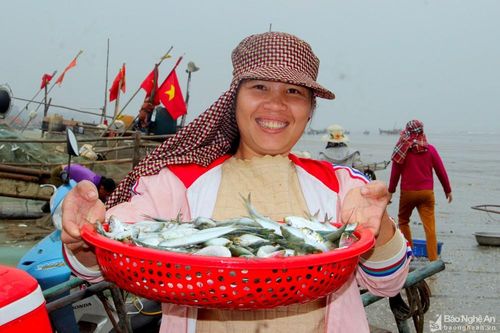Ngư dân Nghệ An trúng đậm cá trích