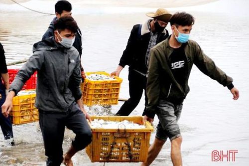 Ngư dân Hà Tĩnh thu cả trăm triệu đồng mỗi chuyến ra khơi 'săn' cá đù