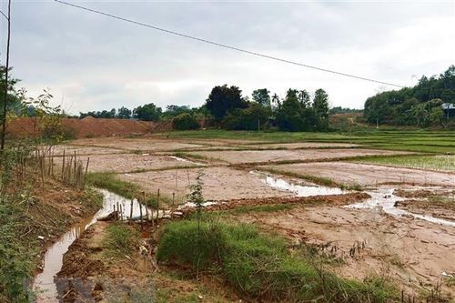 Yên Bái: Người dân bức xúc vì bùn đất từ công trình tràn vào ruộng