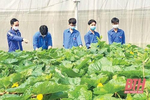Thành đoàn đồng hành cùng thanh niên lập thân, lập nghiệp