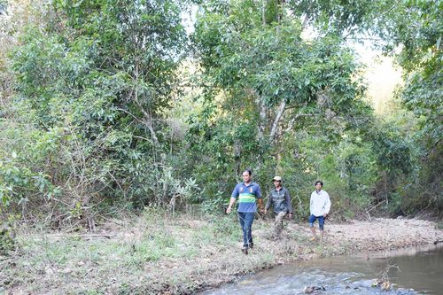 Người dân xã Hà Đông cải thiện cuộc sống nhờ tham gia giữ rừng