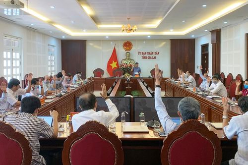 Ủy ban nhân dân tỉnh Gia Lai giới thiệu người ứng cử đại biểu HĐND tỉnh