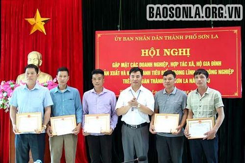 Thành phố gặp mặt tổ chức, cá nhân SXKD tiêu biểu
