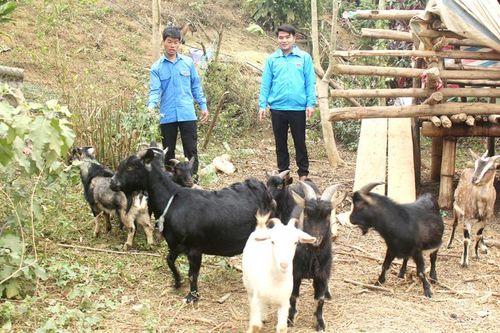 Đồng hành cùng thanh niên lập nghiệp