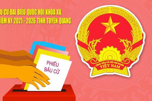 Bầu cử đại biểu Quốc hội khóa XV, nhiệm kỳ 2021-2026Bầu cử đại biểu Quốc hội và HĐND các cấp nhiệm kỳ 2021-2026Các đơn vị bầu cử đại biểu HĐND tỉnh khóa XIX, nhiệm kỳ 2021-2026Ban Thường vụ Tỉnh ủy Tuyên QuangDấu ấn 12 lần Đại hội đại biểu toàn quốc của Đ