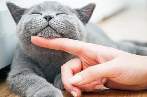 Có xử phạt mới giúp nâng cao ý thức