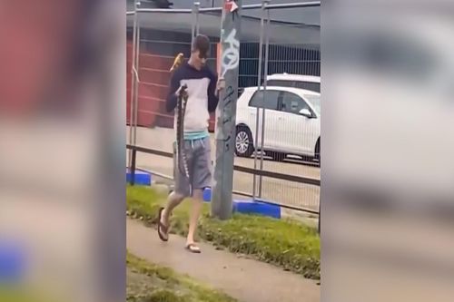 Nam thanh niên cầm rắn tung tăng dạo phố