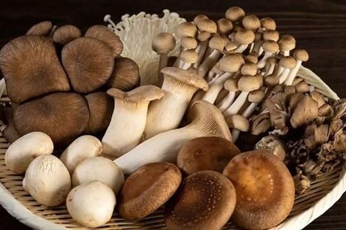 Bỏ túi ngay những thực phẩm tốt cho xương, khớp
