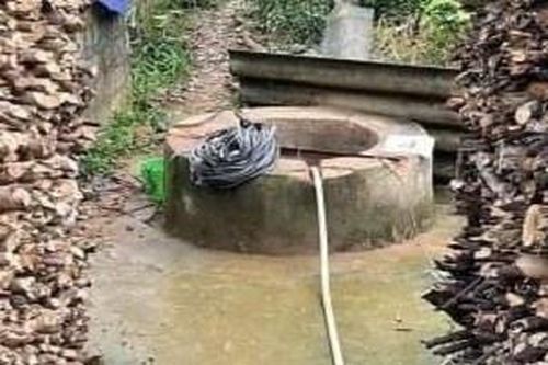 Con dâu đốt nhà, đổ thuốc diệt cỏ xuống giếng