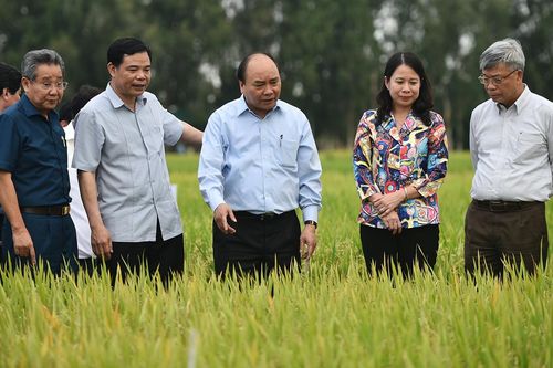 ĐBSCL: Từ 'dấu chân lấm bùn' đến bước chuyển mới