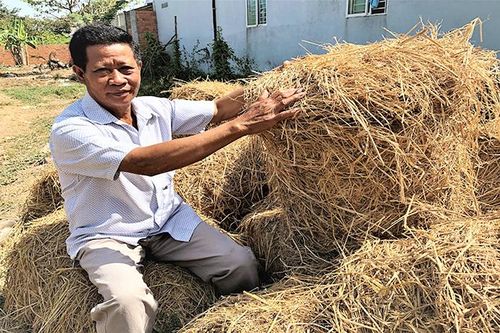 Nông dân Khmer sản xuất, kinh doanh giỏi